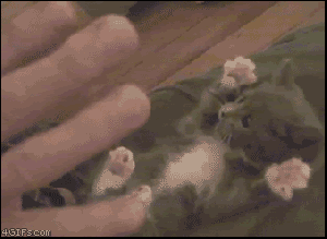 funny-animated-gifs-hands-up