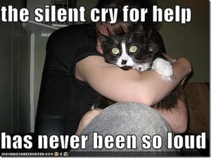 funny-pictures-silent-cry-for-help-cat_thumb